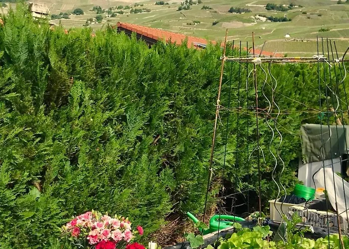 A La Madeleine Oda ve Kahvaltı Vétroz